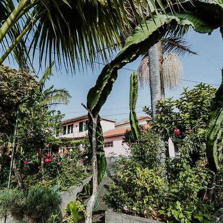City View Gardens I Funchal  Exterior foto